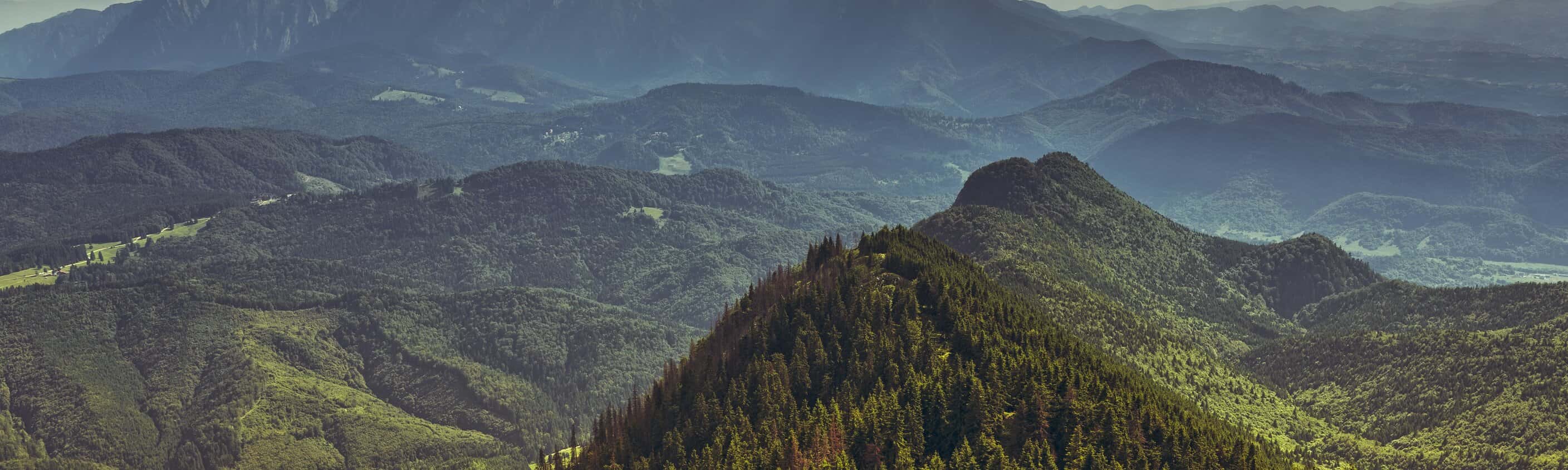 Panorama-Blick auf das Bucegi-Gebirge | © Shutterstock