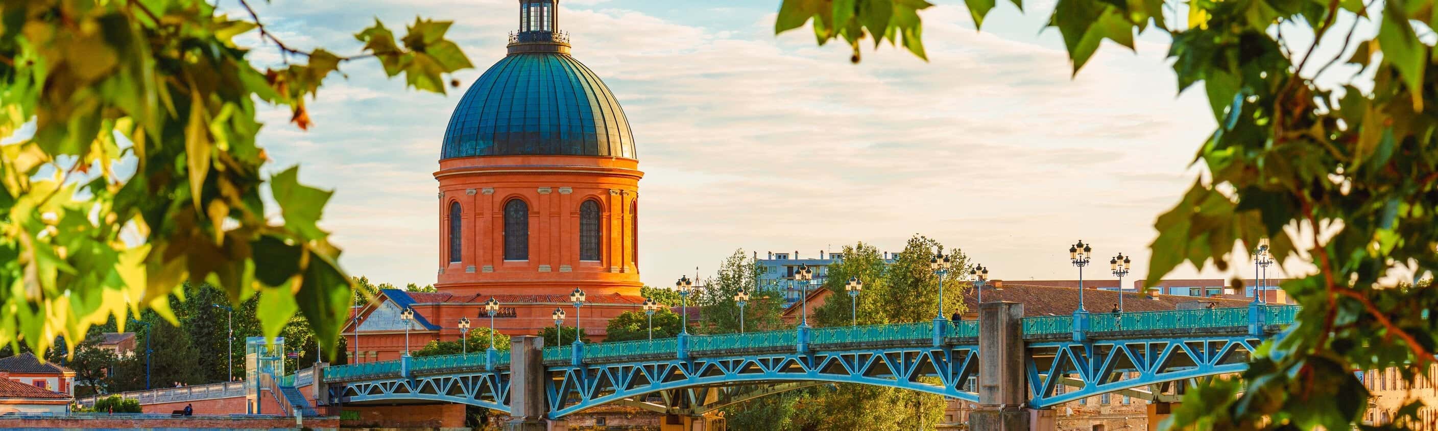 Blick auf Toulouse und den Fluss Garonne | © Shutterstock