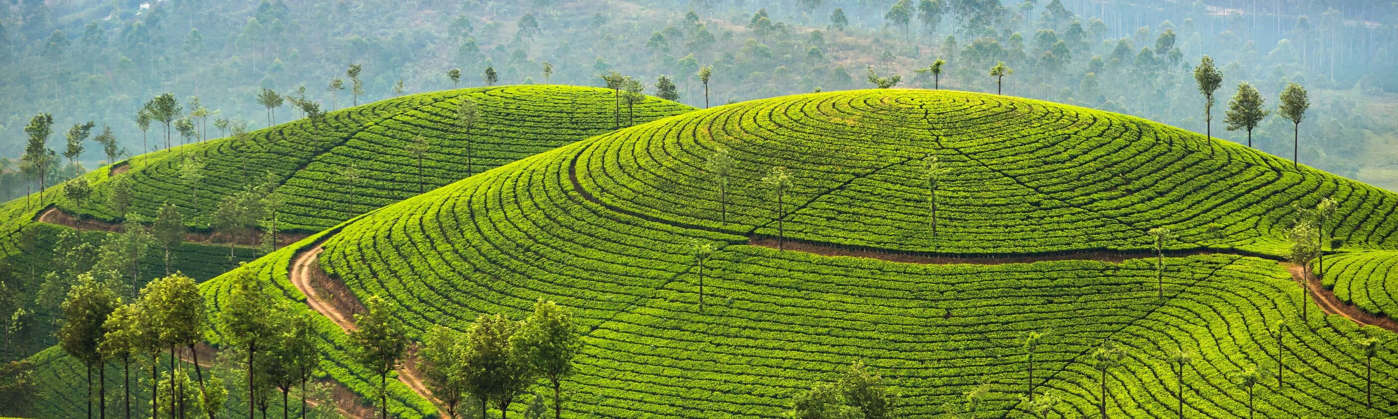 Sri Lanka komfortabel erwandern