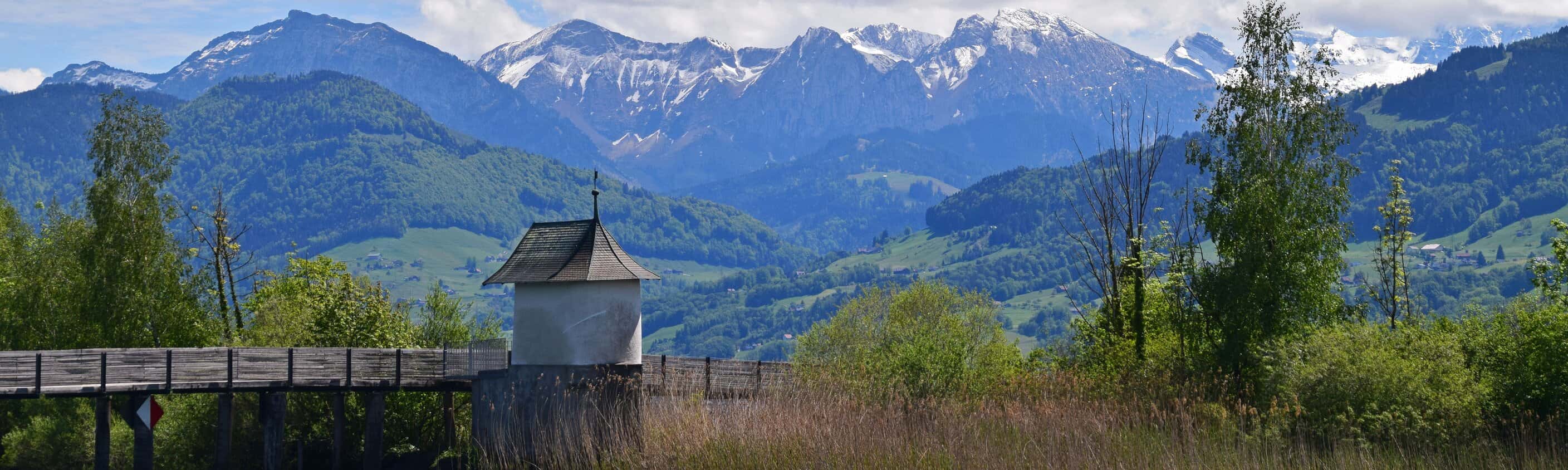 Obersee in Rapperswil | © Shutterstock