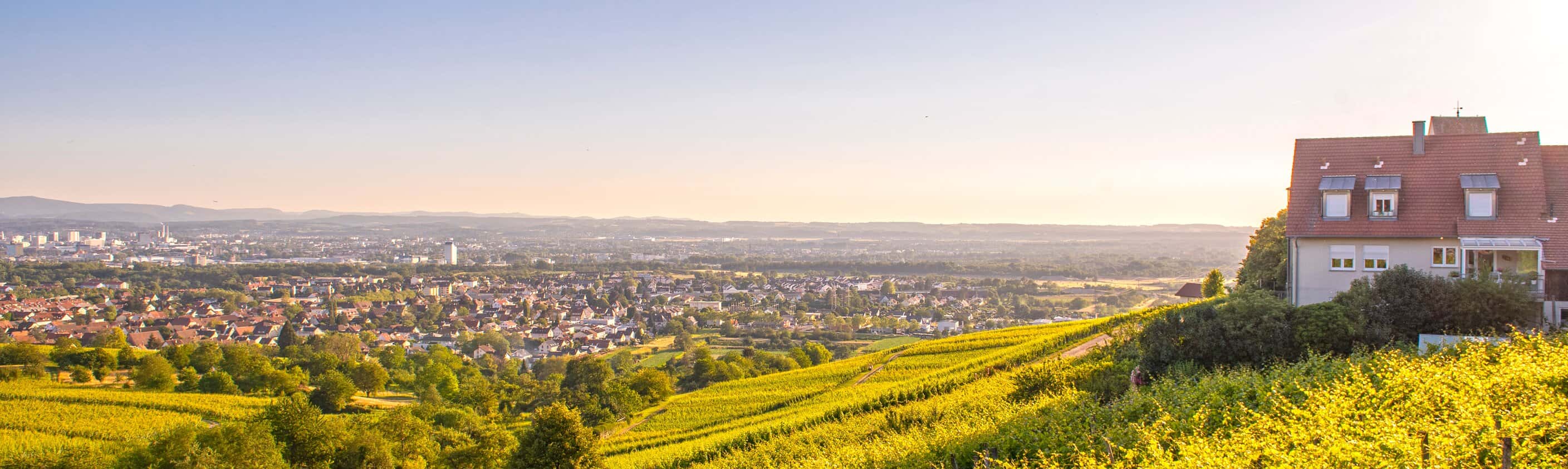 Blick über Weinberge bei Lörrach | © Shutterstock