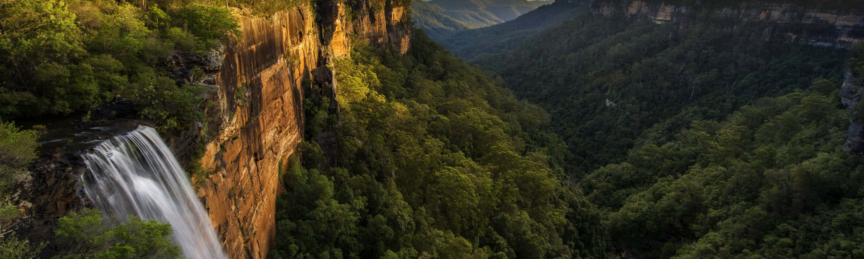 Fitzroy Falls bei Sydney | © Shutterstock
