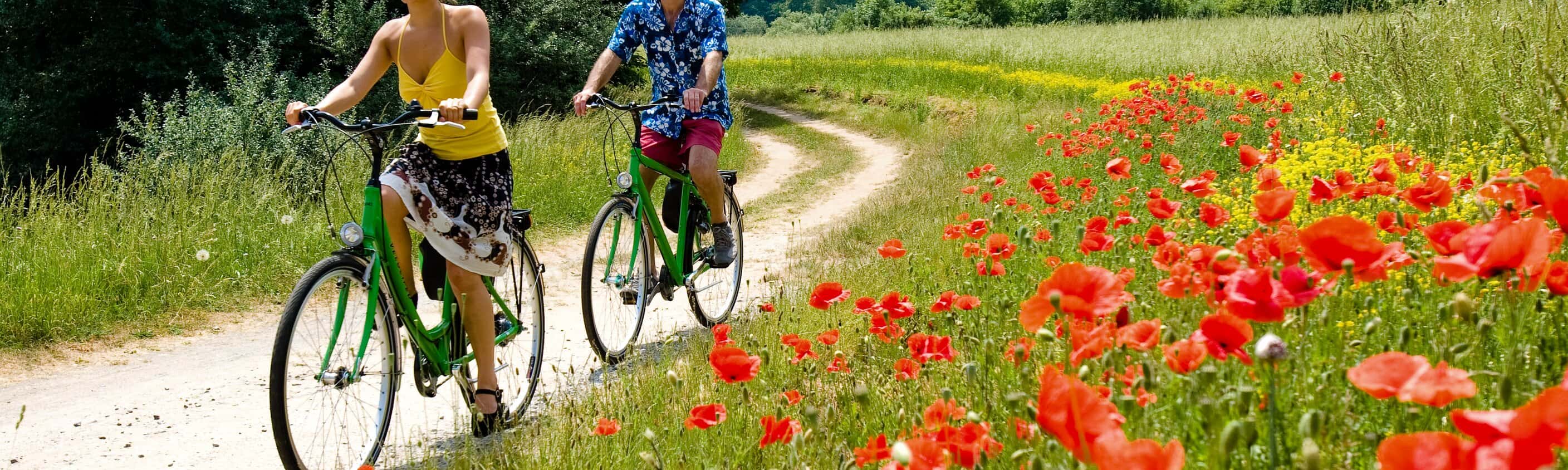 Zwei Radfahrer am Mainradweg | © ASI Reisen