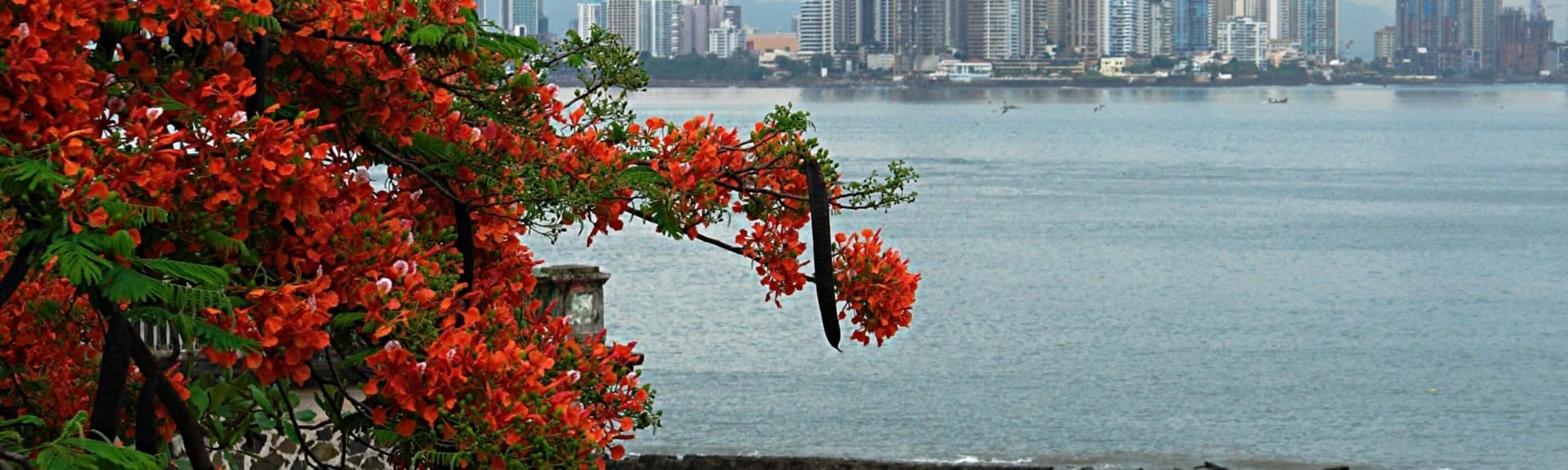 Panama Strand & Skyline | © ASI Reisen
