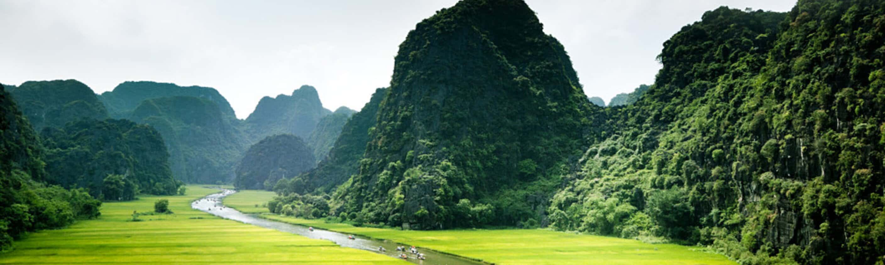 Ninh Binh - Tam Coc Reisfelder | © ASI Reisen