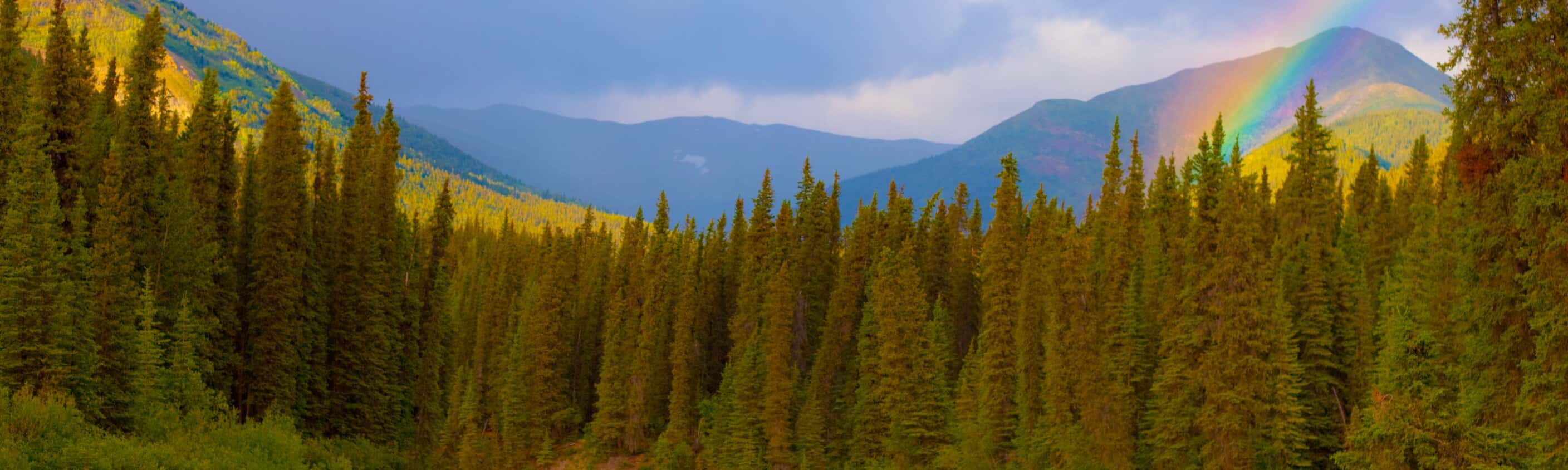 Regenbogen über dem Big Salmon River | © Shutterstock