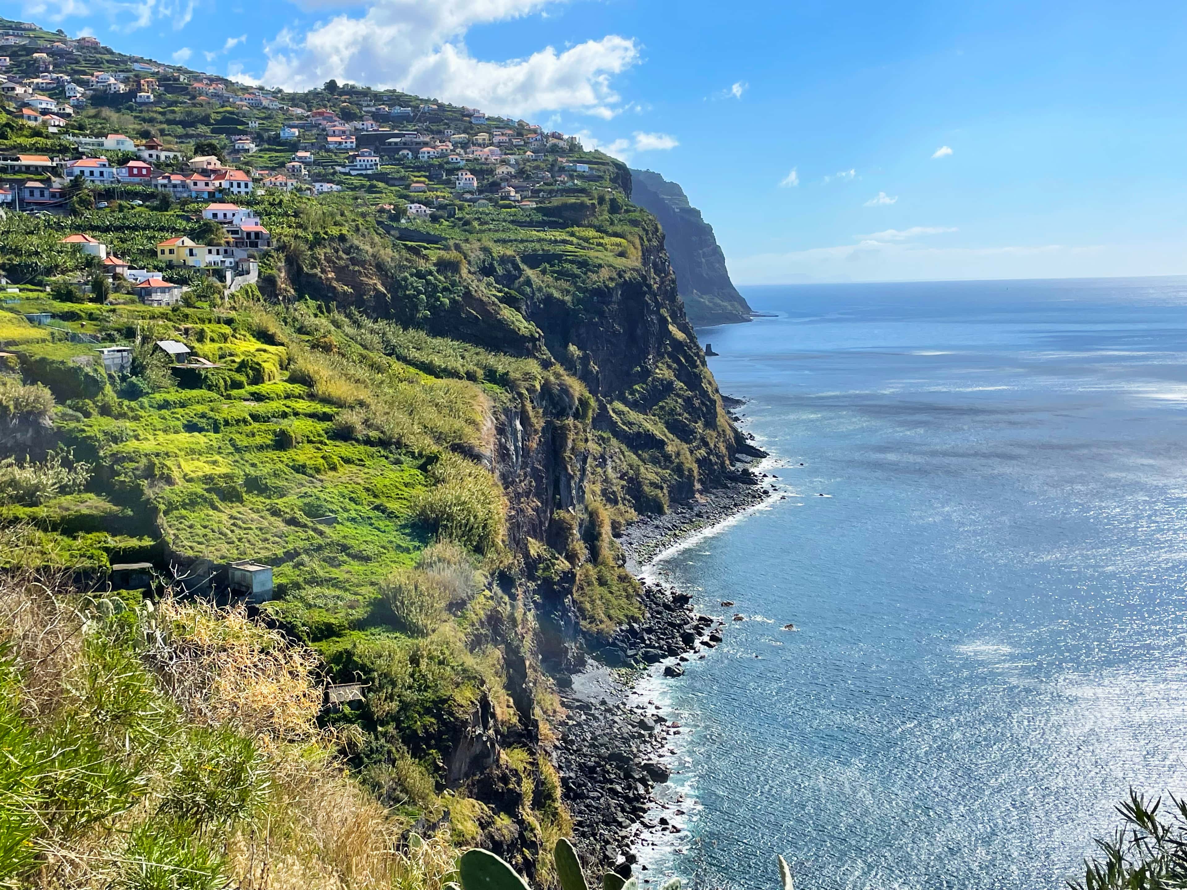 Madeira Rundfahrt - Blumenwelt und Küstenland
