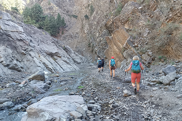 Im Barranco de Las Angustias