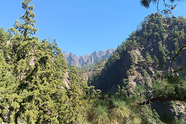 Im Caldeira de Taburiente Nationalpark