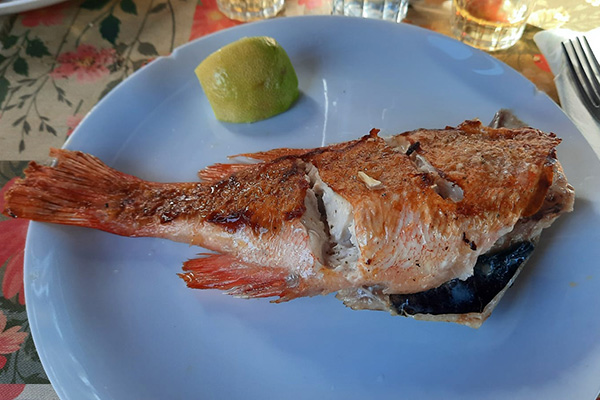 Gegrillter Fisch 