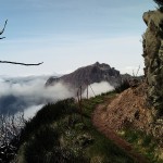 Wanderwege auf Madeira