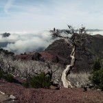 Madeira ein ganzjahres Ziel