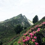 Alpenüberquerung vom Tegernsee nach Sterzing