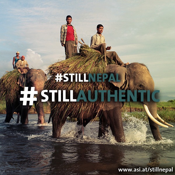 stillauthentic