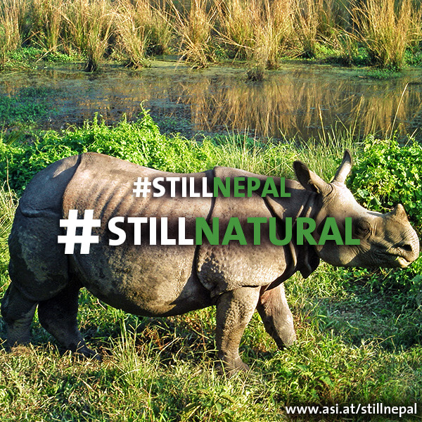 stillnatural