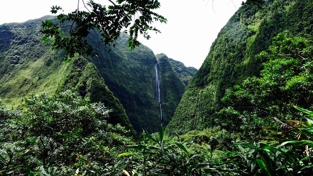 Cascade Blanche La Réunion