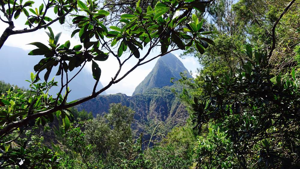 Grüne Gipfel La Réunion