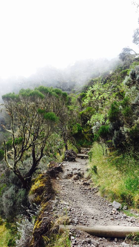 Wandern La Réunion