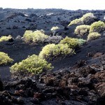 Der Vulkanismus ist zu erkennen auf La Palma