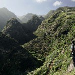 Üppige Vegetation auf La Palma