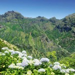 Blumeninsel Madeira