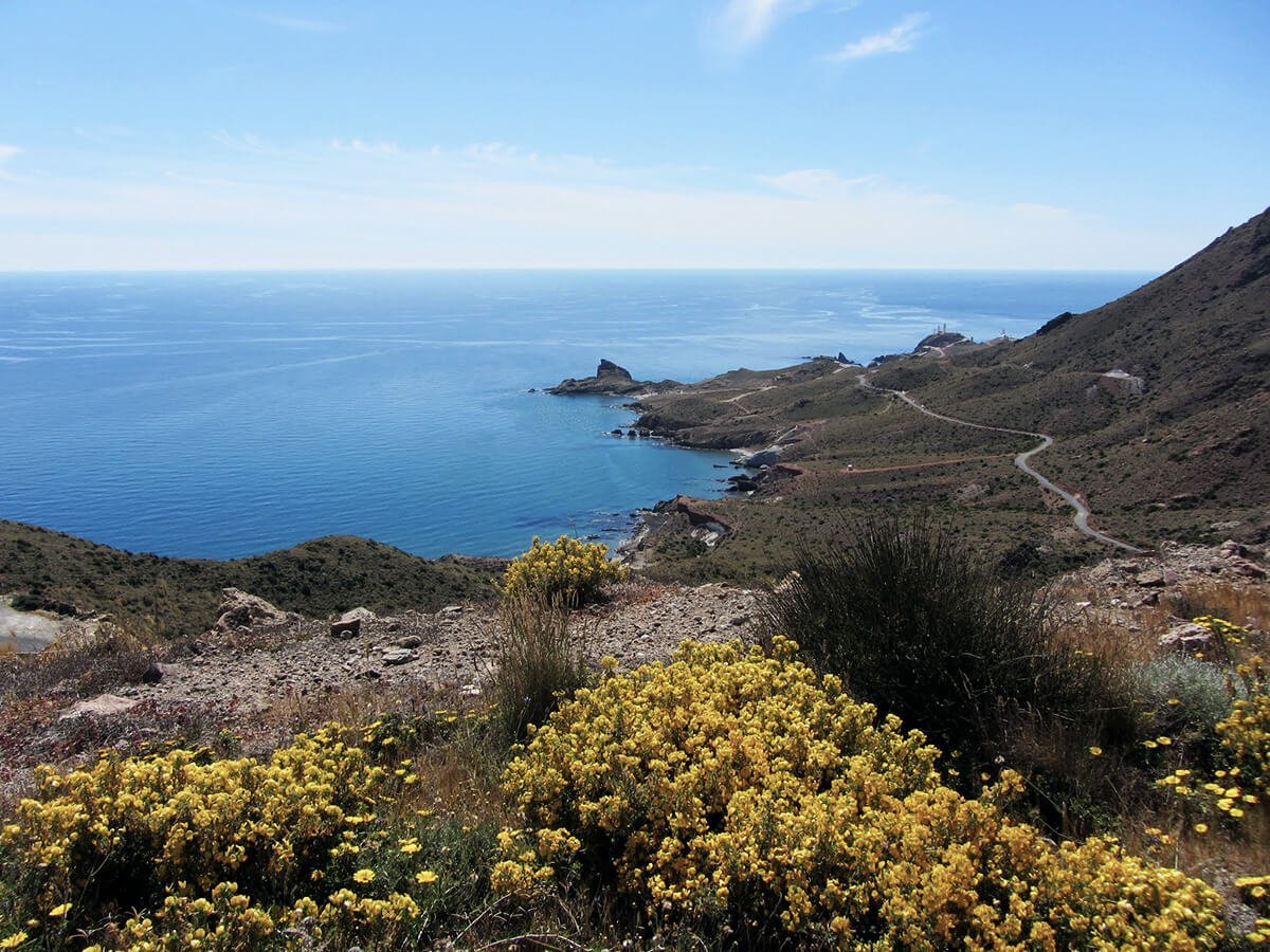 Felsen Andalusien