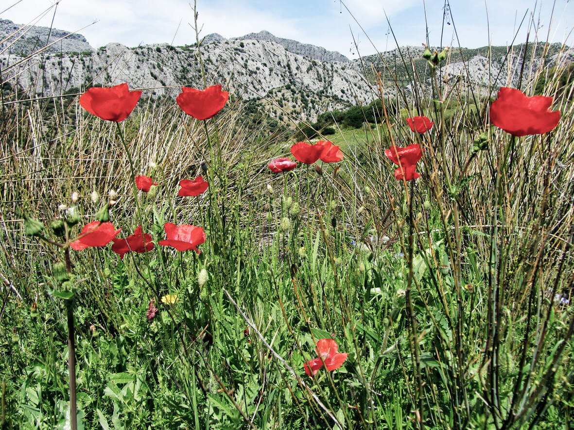 Südspanien