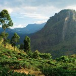 Wandern in Sri Lanka