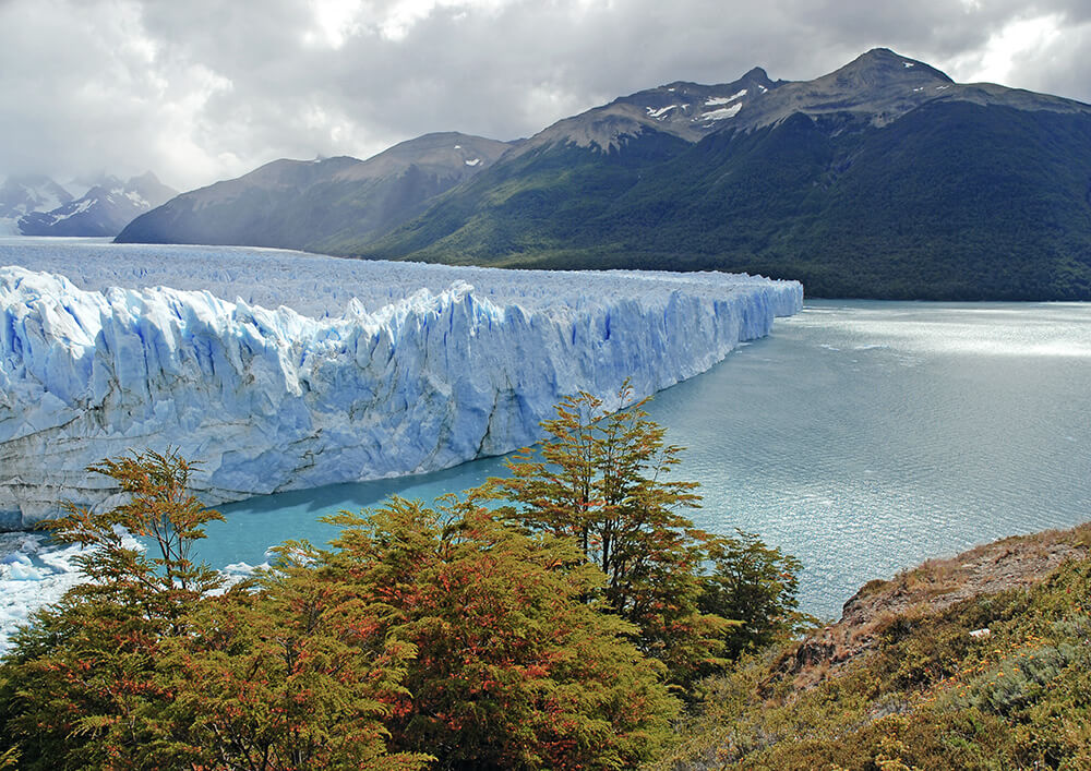 Moreno Gletscher