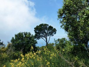 Amalfiküste Wandern