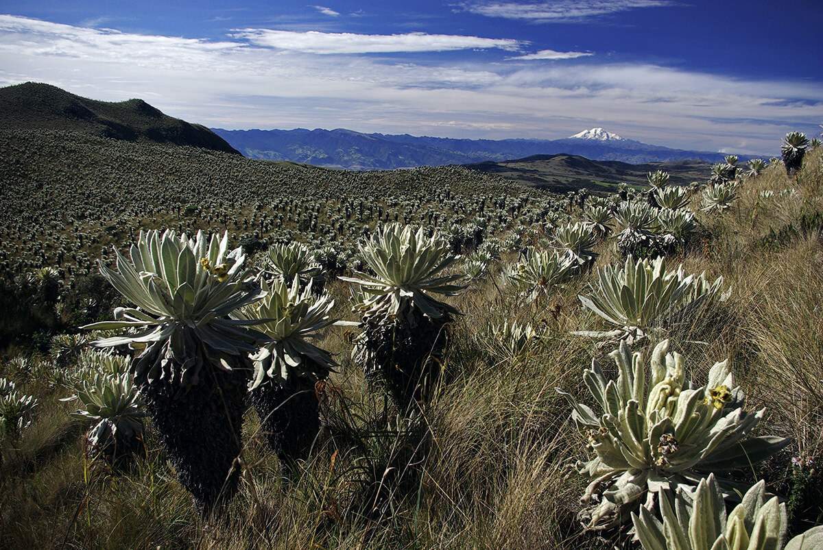 Wandern Ecuador