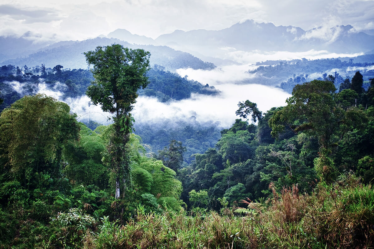 Ecuador