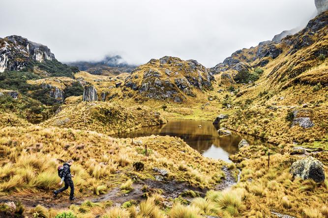 Cajas