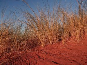 Namibia Wandern