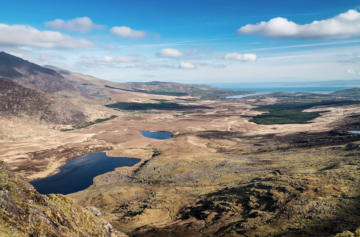 Dingle