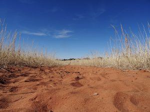 Wandern Kalahari