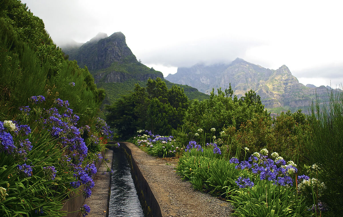 Levadas Madeira