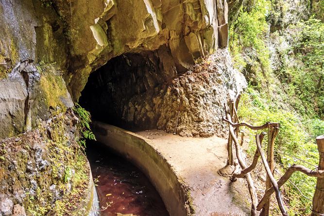 Levada Madeira