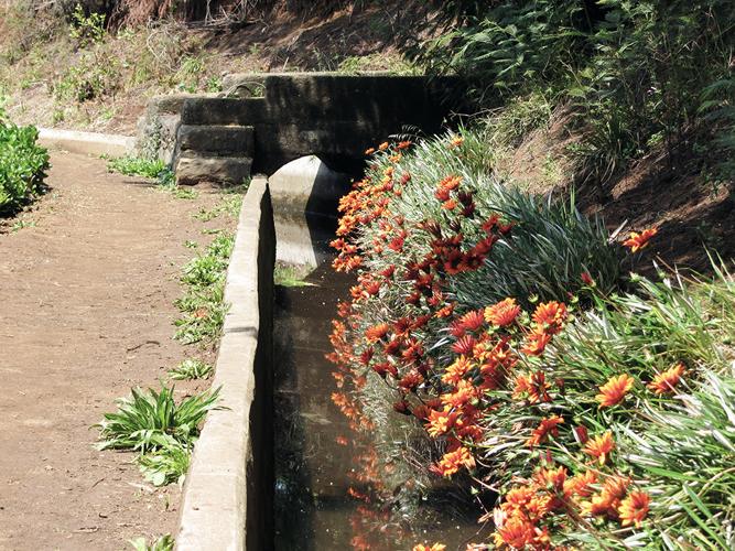 Levada Wandern
