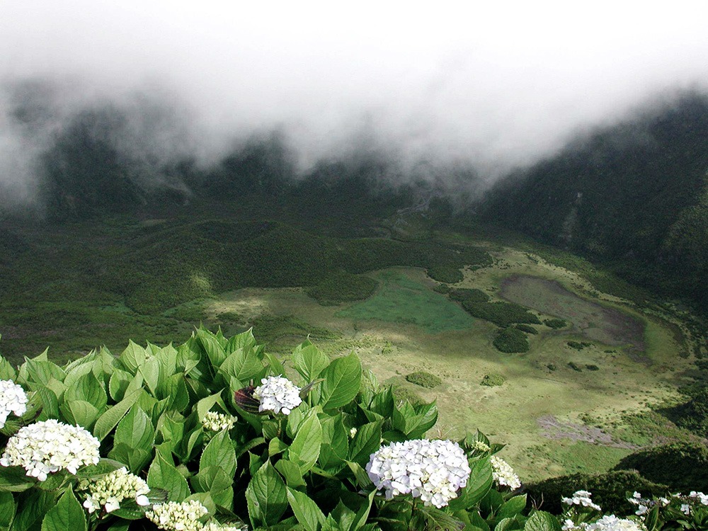 Blick auf den Riesenkrater von Faial.