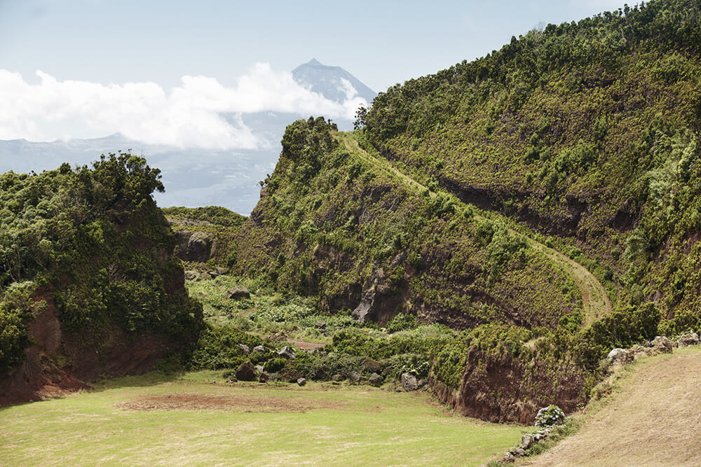 Das Grün auf der Insel Sao Jorge