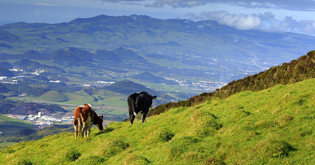 Wandern auf den Azoren