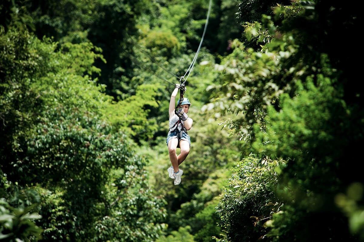 Adrenalin pur: Canopy Tour in luftigen Höhen.