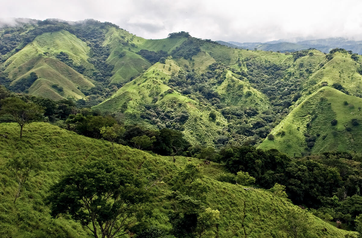 Die grünen Hügel des Monteverde Nationalpark