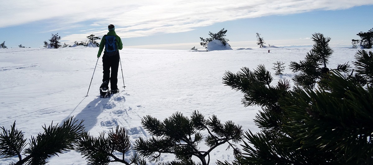 Schneeschuhwandern Finnland