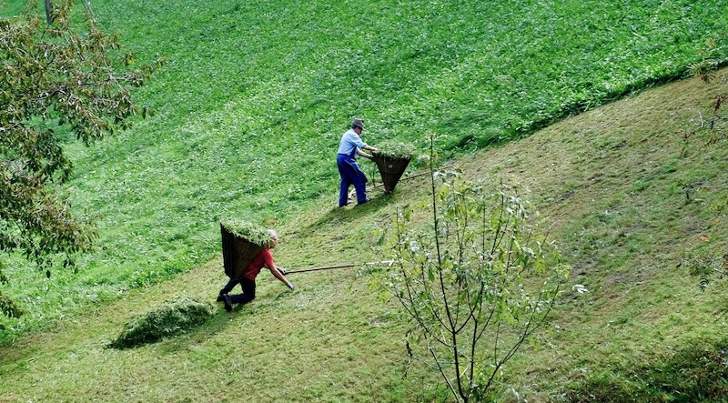 Südtirol