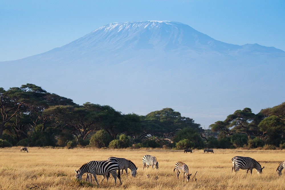 Wandern Kilimanjaro