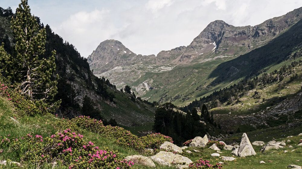 Auf dem Plan de Aguallut 