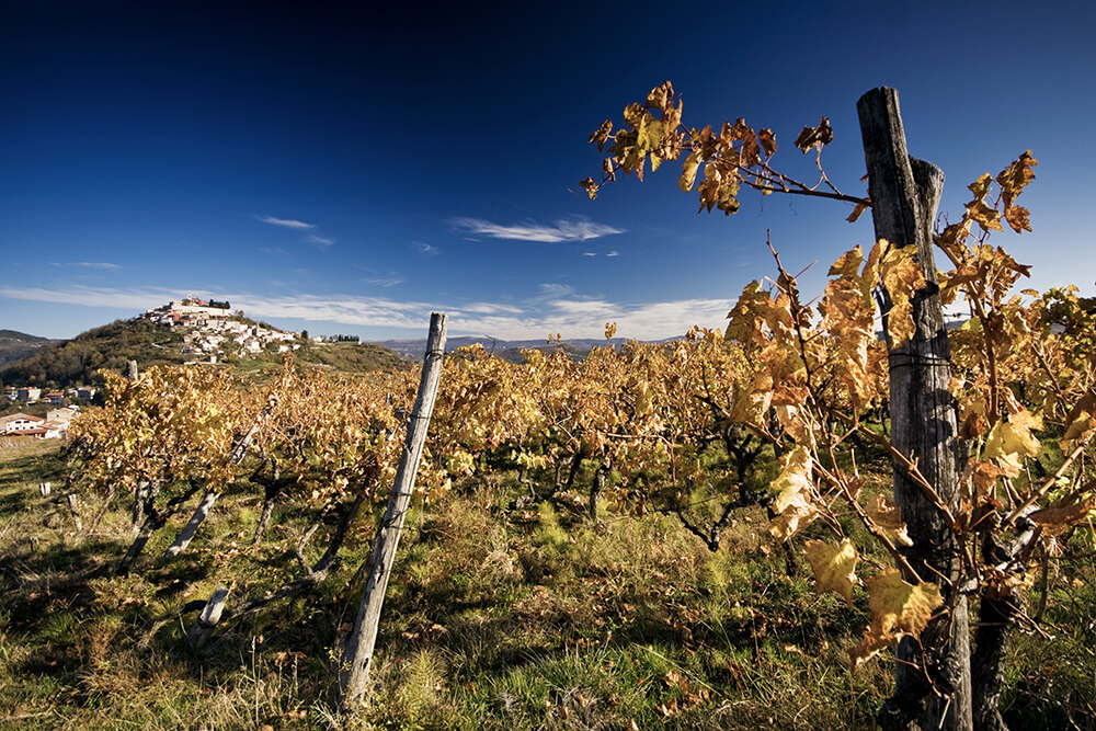 Motovun - im Nordwesten Kroatiens