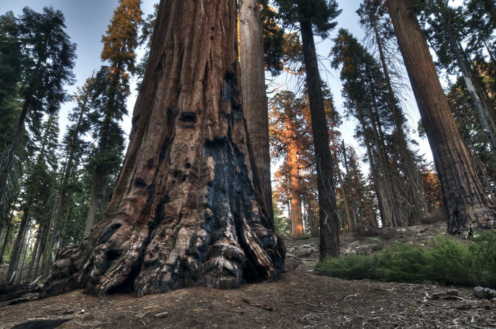 Wandern Nationalpark USA